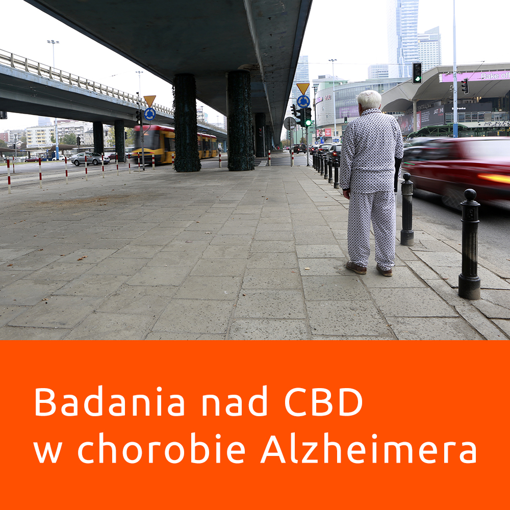 BADANIA PROWADZONE NA ŚWIECIE NAD DZIAŁANIEM KANNABINOIDÓW (CBD) W CHOROBIE ALZHEIMERA