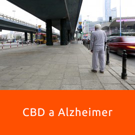 OLEJEK KONOPNY CBD W CHOROBIE ALZHEIMERA - JAK POMAGA?